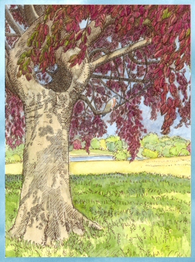 Tree Affirmation Cards - Inner Child